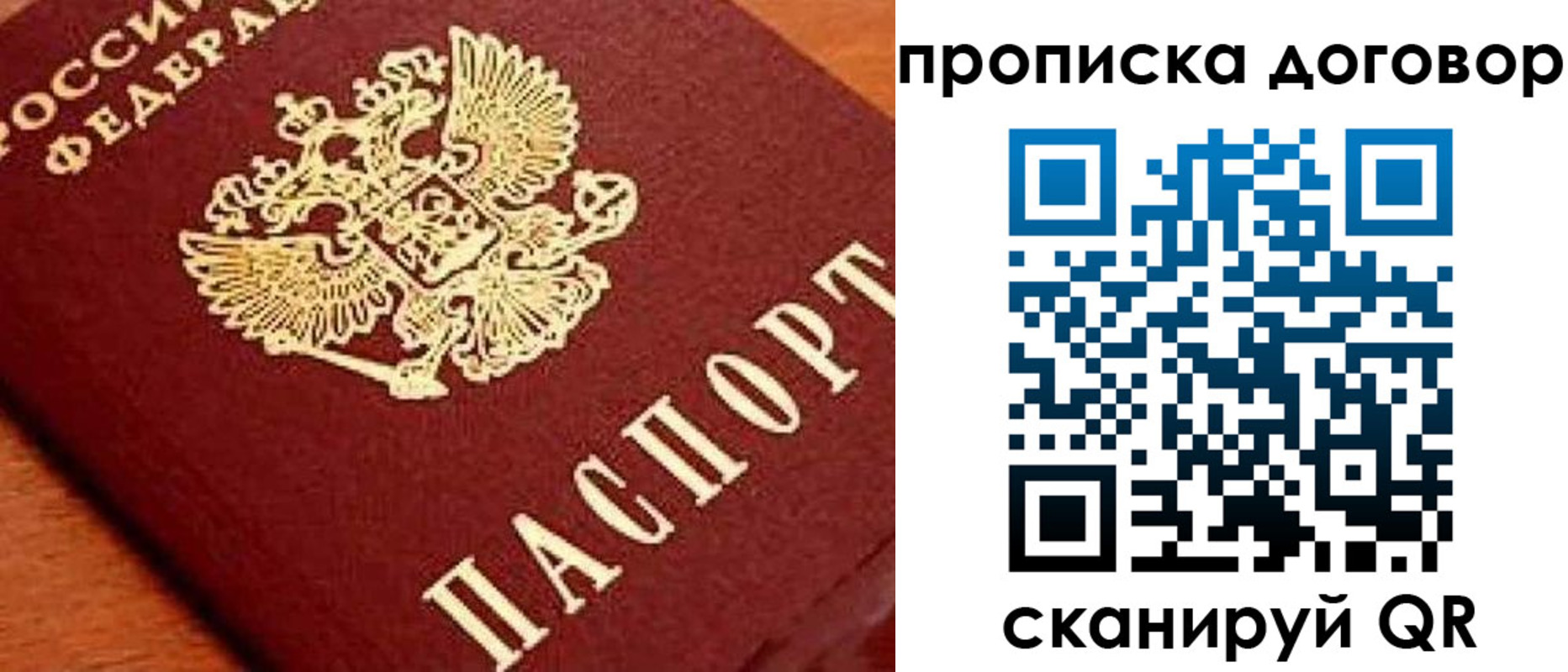 прописка поиск в Высоковске